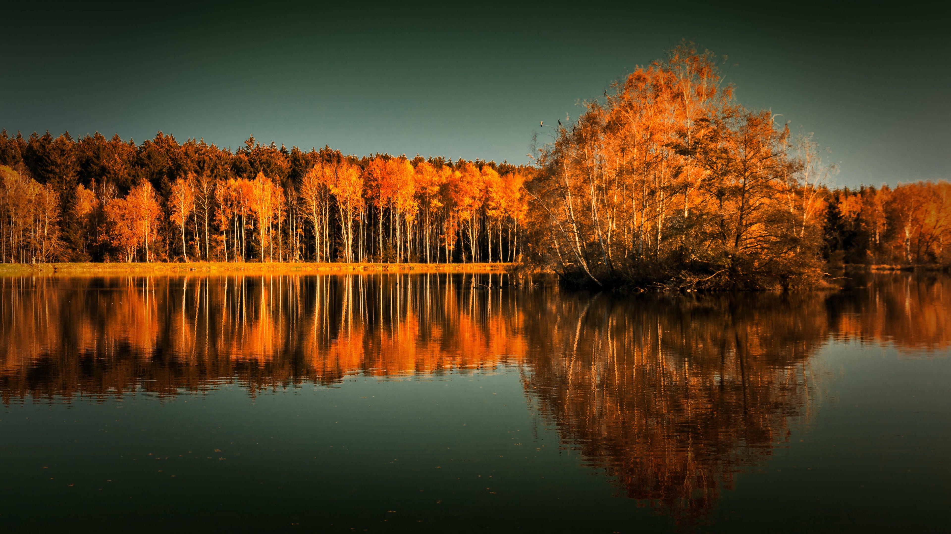 Orange Trees Lake Photo Print