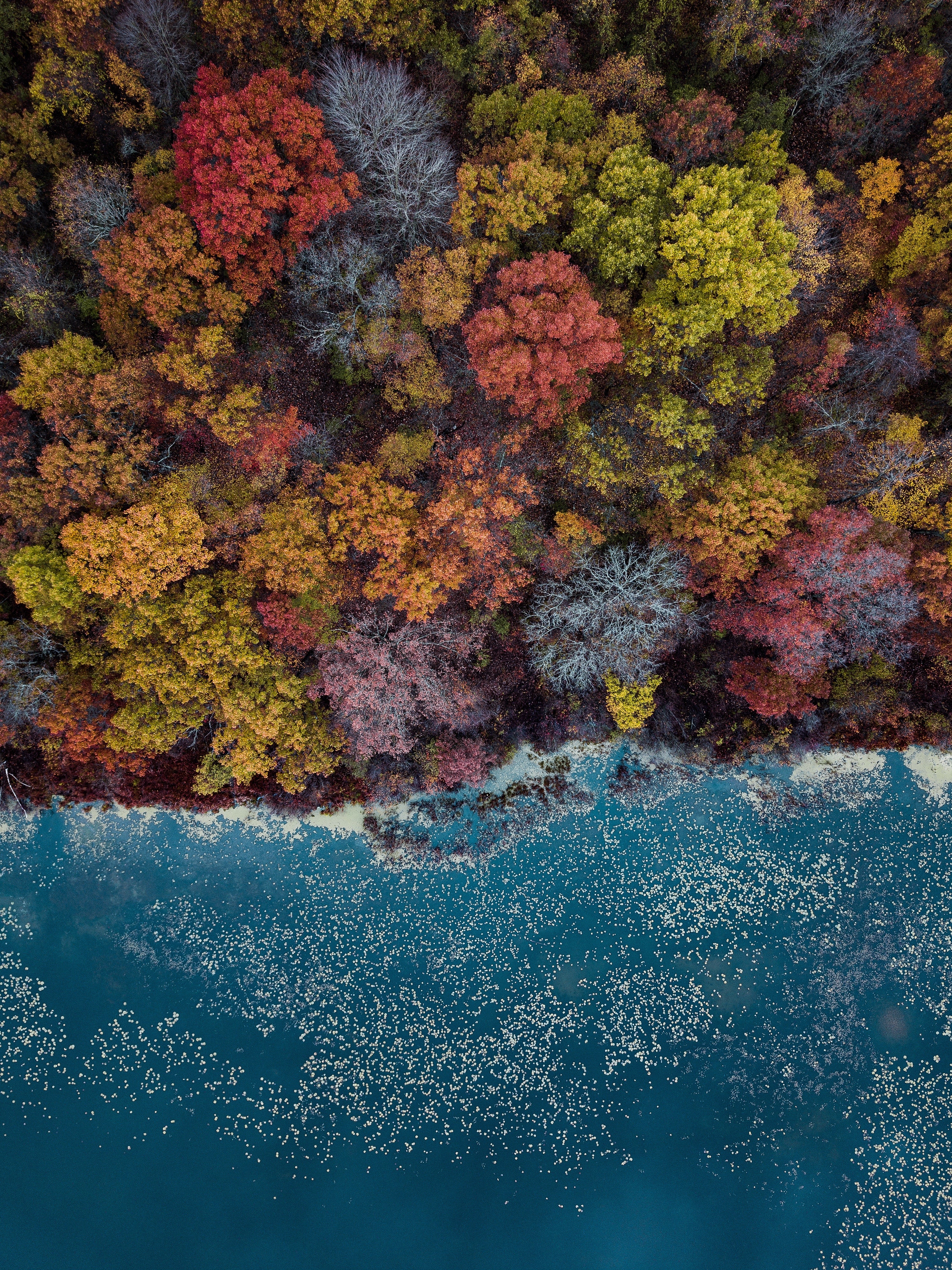 Nature Colors Photo Print