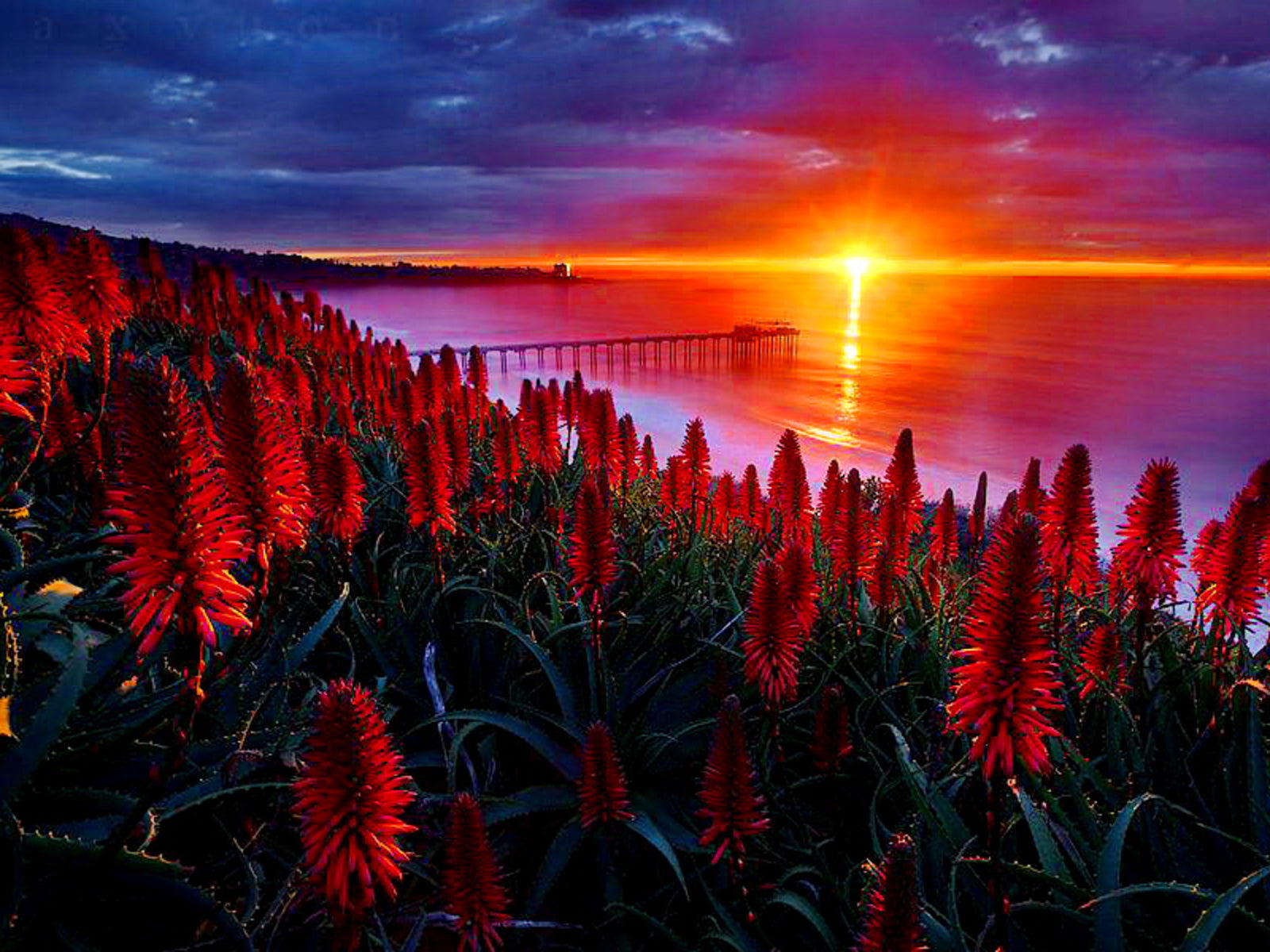 Sunset Sea View Photo Print